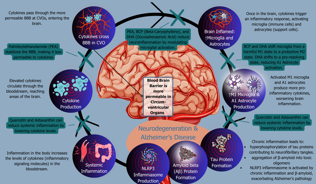 Resolution and Repair of Inflammation in Dogs: The Power of Pro-Resolving Mediators